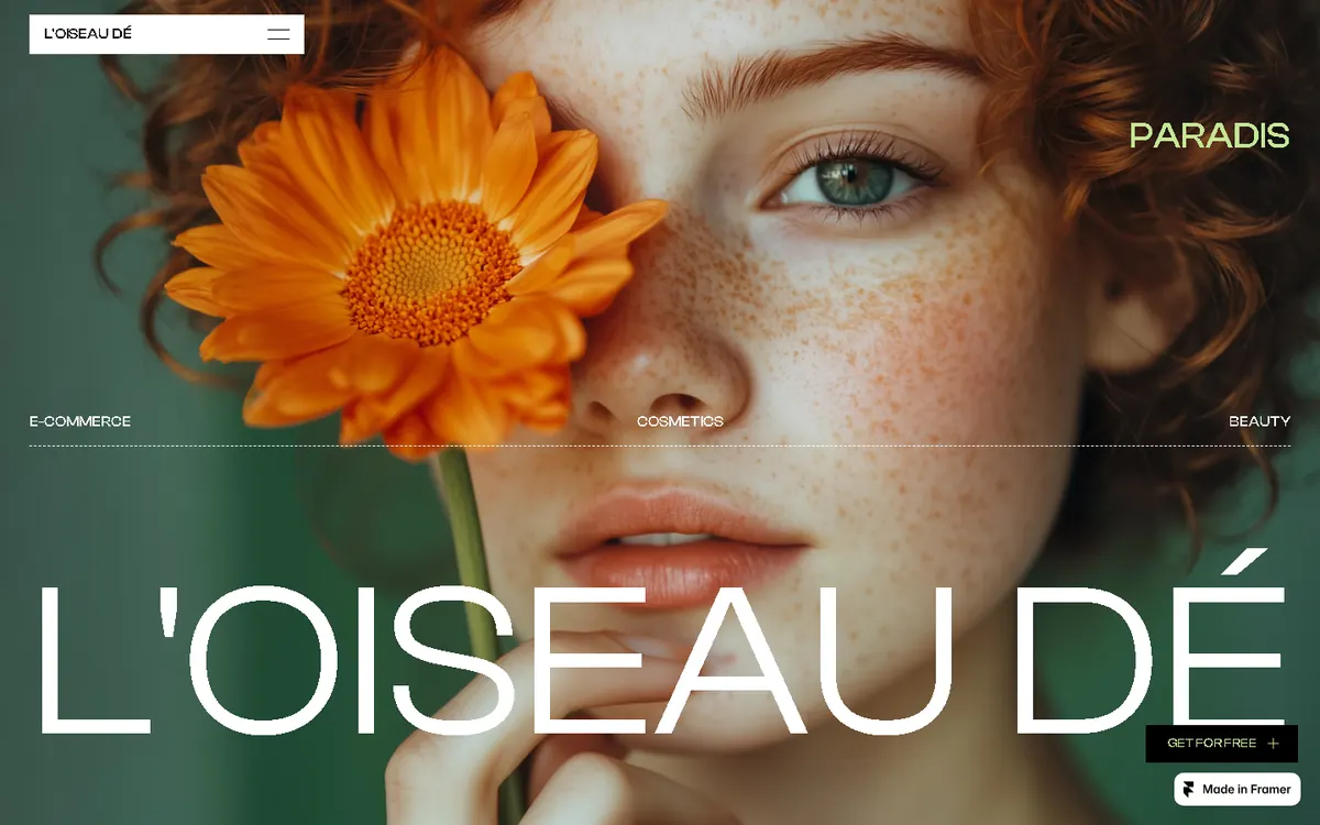 L'Oiseau Dé homepage